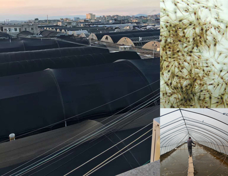 中銳再續輝煌，空氣能成恒溫蝦苗養殖改造工程指定設備
